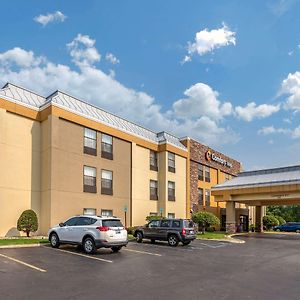 Comfort Inn Wings Stadium